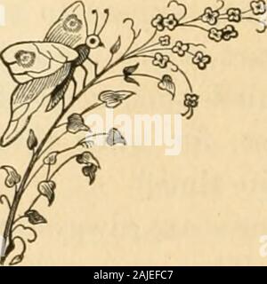 Pratico cultura arancione, compresa la cultura dell'arancio, limone, calce e di altri agrumi, coltivato in Florida . il freddo. TheFlorida è la varietà più generalmente piantate. Salvo le indicazioni sopra osservato, il limone eil calce richiedono lo stesso trattamento come l'arancione. Altre specie.-In Europa e altrove, otherspecies vengono coltivati per il profitto dalla crosta di thecitron le conserve di scorza di cedro di commercio è manu-fabbricato, il bergamotto rese il fragrante olio di berga-mot e varie marmellate, conserve, oli essenziali e profumi sono realizzati dal frutto, fogliame e flo Foto Stock