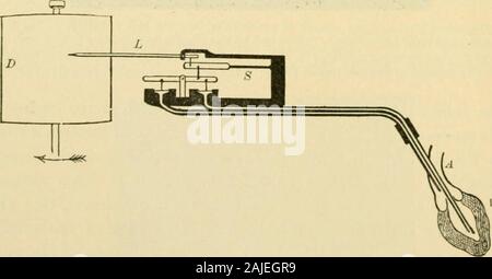 Un Americano di libro di testo di fisiologia . ofblood iniezione dal contraente padiglione (vedere figg. 107, 108, 109). Occasionallv, come sempre, una leggera fluttuazione presystolic della curva può sembrare a n)arca theauricular sistole. La pressione ventricolare-curve e la valvola-play.-È alsoexceedingly colpisce il fatto che nessuna curva, se esso essere appuntita o mostra il sys-tolic altopiano, fornisce una chiara indicazione di tlie istante di chiusura o apertura-ing di entrambe le valvole, auriculo ventricolare o arteriosa (vedere figg. 107, 108, 109).Questi istanti, così importante per il significato della curva, può tuttavia essere contrassegnati Foto Stock