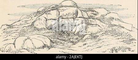 La geologia di suoli e substrati, con particolare riferimento all'agricoltura, Estates, e igiene . strate blocchi e molti scarps andcrags di graniglia, come su Brimham Moor, ad est del ponte Pateley.(Vedere anche Fig. 41.) i pendii più bassi, con terreni sassosi, formenclosed erba-terre. Molte belle serbatoio siti hanno beenobtained nella macina grinta e letti Yoredale alongvarious parti del Pennine Hills. Qui thereprominent e i valori erratici di macina graniglia, montagne, asWhernside, detto da John Phillips a sono state anticamente Quernside, perché querns poteva essere tagliato dalla roccia;anche Ingleborough e penna Foto Stock