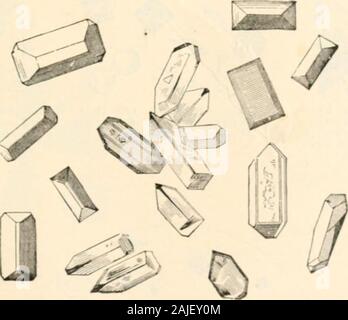 Manuale di patologia : comprese batteriologia, technic di postmortems, e metodi di ricerca patologica . Fic. 478.-Stellate Feathery e cristalli di fosfato triplo.-(Tyson.). Fic. 479.-forme di cristalli di thf .?XMiioMfiMAr.NE.siirM fosfato.-(7yjo.") 0 ^ Foto Stock