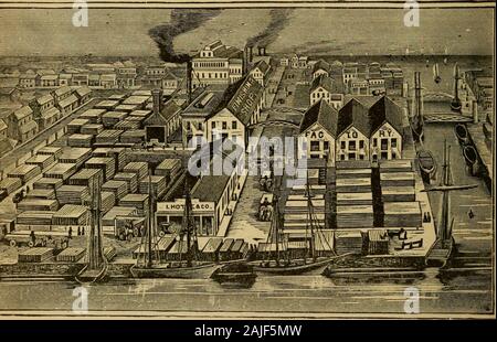 Le industrie di New Orleans, suo rango, risorse, vantaggi, commercio e produce, condizioni del passato, del presente e del futuro, rappresentante istituzioni industriali, storico, descrittivo e statistico . Strada comune, nei pressi di Poydras. In particolare desening di menzione, non solo per la produzione di energia e enterprise, ma per thebreadth del territorio su cui la sua casa ha rapporti commerciali è la reputazione whosebusiness mercantili si trova come sopra indicato. In tutto il nord e l Ovest, nonché theSoutli, è riconosciuto come un rappresentante dello stabilimento. Tutto ciò in linea di per-gie Foto Stock