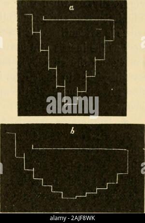 Un Americano di libro di testo di fisiologia . e thealteration di forma, ma nessuno è stato generalmente accettato. Abbastanza ha beensaid per mostrare che la contrazione del muscolo nel suo complesso è il risultato di un cambiamento nel minuto a elementi della fibrilla e che le varie condi-zioni che influenza l'attività del processo di contrazione deve agire chieflythrough alterazioni prodotte in questi piccoli meccanismi. 3. Elasticità del muscolo.-l'elasticità ed estensibilità di muscoli areof grande importanza, da ogni forma di lavoro muscolare tlie muscolo è sub-jected a una forza di allungamento. Elasticità del mu Foto Stock