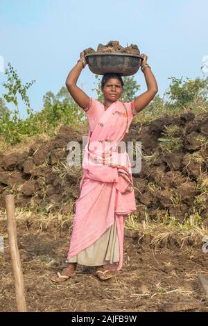 Bichhiya / India / 11 Dicembre 2019 : gli agricoltori operai costruire rams nei campi e utilizzo di spade. Foto Stock