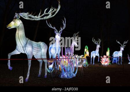 Varsavia, Polonia - 16 dicembre 2019: cervi presso il ristorante cinese Light Festival a Fort Bema Foto Stock