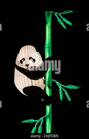 Varsavia, Polonia - 16 dicembre 2019: panda gigante portano sul bambù al cinese Light Festival, la cultura Cinese tradizionale mostra di notte a Fort Bema Foto Stock