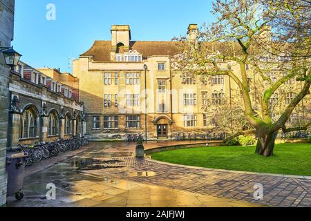 Corte del nord, Emmanuel college, università di Cambridge, Inghilterra, su un umido e soleggiata giornata invernale. Foto Stock