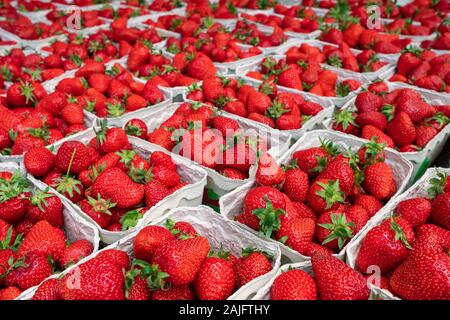 Un sacco di cestini di fragole fresche per la vendita al mercato degli agricoltori da vicino Foto Stock