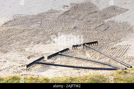 Il rastrello nel bunker di sabbia a golf links corso verde per i golfisti Foto Stock