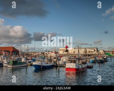 Pescherecci nel porto di Thyboroen a ovest della Danimarca Foto Stock
