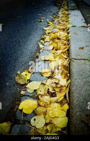 Foglie di autunno caduto sul lato della strada Foto Stock