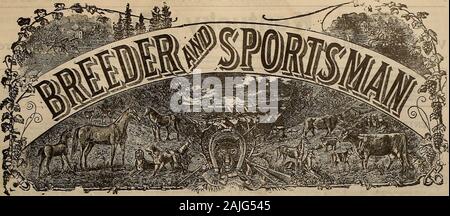 Allevatore e sportivo . Il tiratore che paga per la sua pistola e munizioni insiste su SELBY carichi! SEL.Y SMELTING & LEAD CO., San Francisco, perché-SELBY carichi vengono caricati sulla costa del Pacifico e quindi sono assolutamente ERESH.perché coerente con le vincite di anno in anno dimostrano che SELBY CARICA EXCEL in velocità, pattern e la penetrazione.perché egli può avere speciali SELBY carichi ad un preavviso di pochi istanti. Carichi di Selby consentirà di migliorare i tuoi punteggi.. VOLUME LX. No. 13. SAX FRANCISCO, sabato 30 marzo, 1912. Abbonamento-*3,00 Per anno Foto Stock