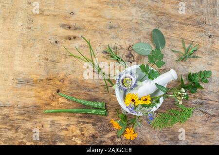 Herb Selezione foglia di golden timo, origano, purple sage, menta e rosmarino in fiore in un ambiente rustico in legno di olivo mortaio con pestello, isolati su tavola di legno dello sfondo. Foto Stock