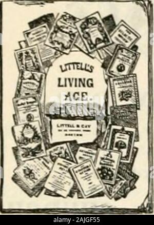 Il secolo illustrato rivista mensile . h. Gli altri sarà un still-life, cani ealtri .-1 nimal teste, una Moonliglit Ma-rine, figure e teste, o tali othersubjects come i nostri abbonati possono chiedere.altre illustrazioni coprirà suitablesubjects per tappezzeria pittura, scultura, schermi, ricami De-segni di tutti i tipi, calci sull'Argento,e altre nuove opere d'arte. Decorazione Home Dipartimento willcontain schizzi di angoli di camera, In-teriors, Ingle-angolini, tendaggi, pelliccia-niture progetta, disegna per CkinaPainting, ecc., e oltre 500 pagine di in-structive e interessante lettura mat-ter. In additio Foto Stock