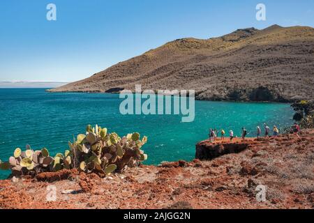 Paesaggio di isola Rabida, Galapagos, Ecuador. Foto Stock