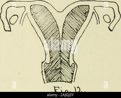 Il procedimento del Connecticut State Medical Society .. . ^&txv^.b Nocotwv% xvtvvt^Vvs. Foto Stock