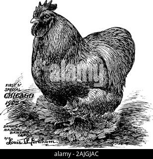 La faraona bantam; una descrizione degli standard di tutte le razze e varietà di bantams e di nuove razze che stanno diventando popolari .. . Ve equalinfluence negli accoppiamenti di tutti gli uccelli di nero. A causa della influenza di questa eccessiva forza ofcolour, è nostra opinione che la miscelazione incurante della stessa togain ricchi sheen, tanto desiderato, ci dà il colore viola-blocco, e non crediamo che la luce del sole ha muchinfluence per o contro questo blocco. Si tratta piuttosto di essere sup-posti che è il colore influenza da uno all'altro |AB|:sulla semina per la ricchezza di colori che deriva dall'utilizzo di theseover Foto Stock