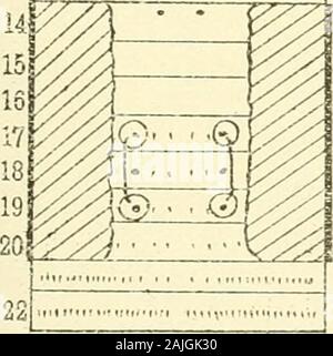 Le operazioni e i lavori della Nuova Zelanda Institute . / F^ / II -/ 4 mi- j 6 /" HI 7 1 T 10 C a&GT; 11 c. *&Gt; 12 c .&GT; 13 c. .3 T 15 10 w 12 m$ ^&GT; p^*s 19 V/^ 20 & Piagiochaeta rossii, n. sp.. 1 -&GT; s r 4 / *° - / 1 6 it 10 C. ..&GT; 11 c ..I 12 18 / V / V 20 9 1011121314 Foto Stock