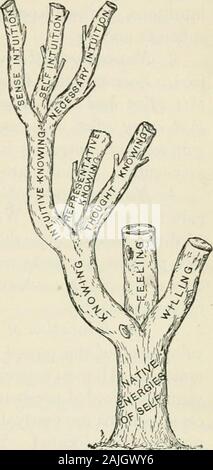 La psicologia applicata alla tecnica di insegnamento / da Giuseppe Baldwin ; con una introduzione di James Gibson Hume . nse-intuition guadagna senso-knowl-edge e niente di più.autonomo come consapevole-intuitiongains self - conoscenza andnothing più. Un essendo notendowed con necessarie-percezione devono rimanere per sempre ignorante del w^orldof necessario-realtà. Nec-essario-intuizione è la nativeenergy di sé alla realtà experiencenecessary. Wemake il nostro senso-idee ofour sensazioni e la nostra auto-idee al di fuori della nostra consapevolezza;ma ci troviamo di fronte a facewith necessario-realtà andgain necessario-idee da di-rect insight Foto Stock