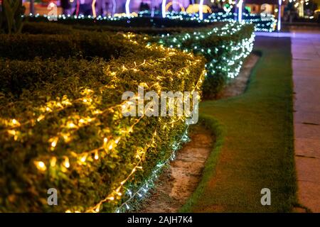 Decorazione luce celebrazione di Natale sulle boccole del giardino, astratta immagine sfocata sfondo sfocato Foto Stock