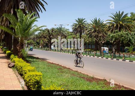 Uomo in bicicletta giù per una strada in Bahir Dar, Etiopia, condividendo la strada con bajaji (auto-rickshaws o tuk tuks) Foto Stock