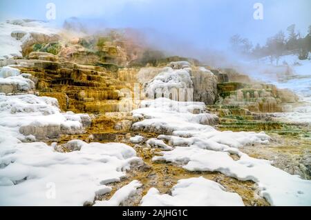 Vista delle molle delle Canarie e terrazze di Mammoth Hot Springs zona durante l'inverno, il Parco Nazionale di Yellowstone, STATI UNITI D'AMERICA. Foto Stock