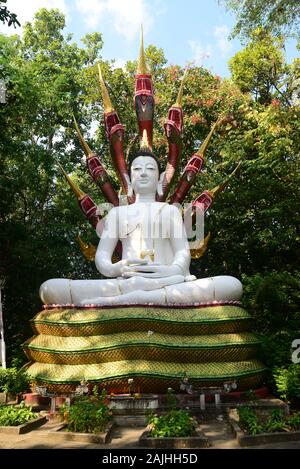 Phayao, Tailandia - 21 dicembre, 2019 : il Buddha in meditazione sotto un Seven-Headed Naga al Wat Analyo Thipayaram, Phayao provincia, Thailandia Foto Stock