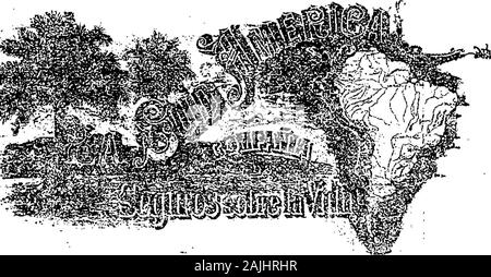 Boletín Oficial de la República Argentina 1916 1ra sección . 18 abril de 1916. - Il buon anno di pneumatico y Rubbler ?•Gcffftpany. -Caucho, goma, guítapeídia ; en brutoy en toda forma de preparación y ar-tículos fabricados con esa. substancia,no ortopédie-osj de cirujía o electricidadae la clase 17. i . : 1 , ¡ . : V-3 mayo- . mt^mm JHfHr*** Boletín Oficial - Buenos Aires,Viernes 28 de AbriT de 1016 H rrn rP I F T 533 R Acta NQ 52.465. Acta Ne 52470 18 abril de 1916. - La Sud América, Compañía de Seguros sobre laVida- - Publicaciones, impresiones y^ :gjio uci:ne3 en ge-ser, de la clase 1E  f v-2 mayo Foto Stock