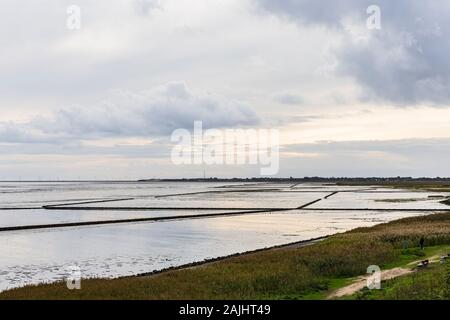 Wattenmeer, ebbe, Spaziergaenger, Morsum, Windpark, Keitum, Sylt Foto Stock