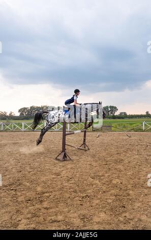 Super slow motion di una donna jockey salta sopra gli ostacoli su un cavallo. Foto Stock