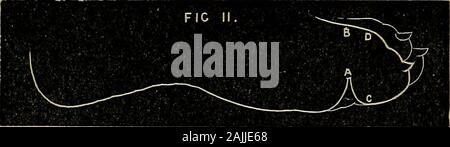 Xix secolo i miracoli, o, alcolici e il loro lavoro in ogni paese della terra : un completo Compendio storico del grande movimento noto come 'moderne spiritualismo' . Foto Stock