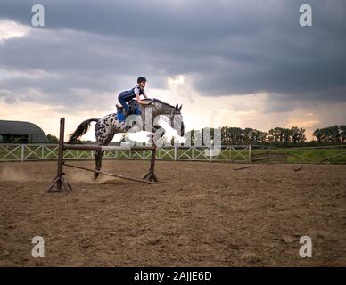 Super slow motion di una donna jockey salta sopra gli ostacoli su un cavallo. Foto Stock