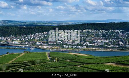 Vista panoramica elevata con vigneti e città di Bingen sul fiume Reno e mulini a vento in lontananza. Foto Stock