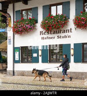 Donna cammina bella tedesco shepard passato la facciata di un ristorante con bella finestra fiori casella nella pittoresca città bavarese di Oberammergau. Foto Stock