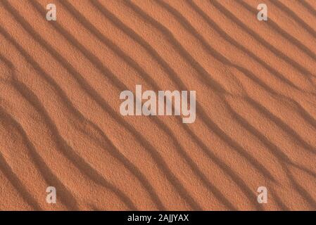 Increspature di sabbia in Erg Chebbi dune di Merzouga, il Deserto del Sahara, Marocco, Africa del Nord. Foto Stock