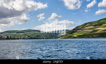 Water level view of the might Rhine River and it's vineyard covered banks as seen from a ferry boat near Rudesheim Germany. Foto Stock