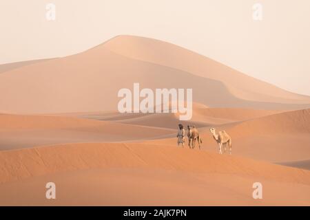 Bedouin e cammelli sul modo attraverso il deserto sabbioso. Il Nomad conduce una carovana di cammello nel deserto del Sahara durante una tempesta di sabbia, Marocco, Africa silhouette uomo Foto Stock