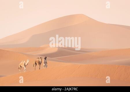 Bedouin e cammelli sul modo attraverso il deserto sabbioso. Il Nomad conduce una carovana di cammello nel deserto del Sahara durante una tempesta di sabbia, Marocco, Africa silhouette uomo Foto Stock