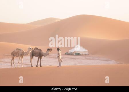 Bedouin e cammelli sul modo attraverso il deserto sabbioso. Il Nomad conduce una carovana di cammello nel deserto del Sahara durante una tempesta di sabbia, Marocco, Africa silhouette uomo Foto Stock