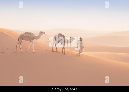 Bedouin e cammelli sul modo attraverso il deserto sabbioso. Il Nomad conduce una carovana di cammello nel deserto del Sahara durante una tempesta di sabbia, Marocco, Africa silhouette uomo Foto Stock