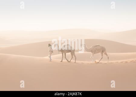 Bedouin e cammelli sul modo attraverso il deserto sabbioso. Il Nomad conduce una carovana di cammello nel deserto del Sahara durante una tempesta di sabbia, Marocco, Africa silhouette uomo Foto Stock