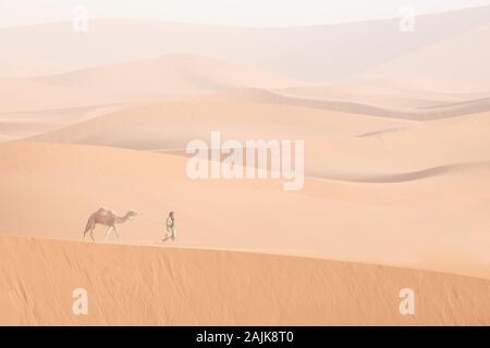 Bedouin e cammelli sul modo attraverso il deserto sabbioso. Il Nomad conduce una carovana di cammello nel deserto del Sahara durante una tempesta di sabbia, Marocco, Africa silhouette uomo Foto Stock