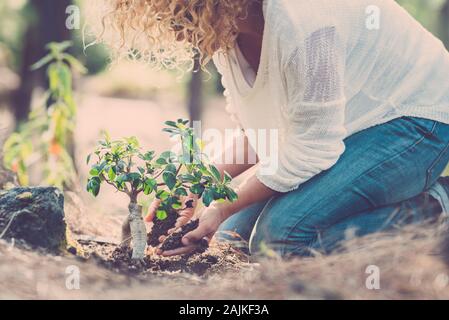 L'ambiente e la cura per il pianeta e per la natura il concetto di foresta con lady la semina di una nuova struttura sul legno massa - salvare la terra del giorno lo stile di vita di persone Foto Stock