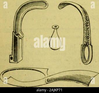 Scuola dizionario di antichità greche e romane . halnevm. o caldalavatio), che è chiamato anche piscina o ca-lida piscina, labrum e solium, appare tohave stato un capiente vaso in marmo, alcune volte in piedi sul pavimento, come quella trovanella precedenti tagliato, e talvolta eitherpartly abovf elevata&GT; il pavimento, come era atPompeii, o completamente affondato in esso. Dopo aver attraversato il regularcourse di sudore, Romani madeuse di strumenti chiamati strigiles o strigles,per raschiare il sudore. Il strigilwas utilizzato anche dai greci, che ha chiamato itstlengis (arXiy^è) o xystra Foto Stock