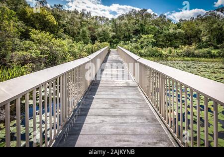 Passerella in legno presso la palude del parco nazionale delle Everglades, Florida, Stati Uniti d'America. Foto Stock