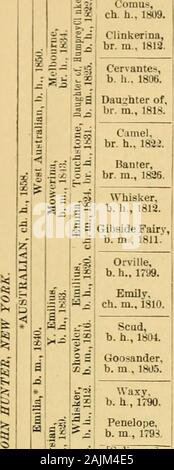 Il cavallo purosangue : la sua origine, come razza e come [a] selezionare lui : con gli allevatori di cavalli' guide : abbracciando un centinaio di tabulati delle genealogie dei principali riproduttori ... . Nd della foglia di Edera, diga di rovo,Lizzie Lucas, diga di Cerise (Morrellos dam), Maggie B., diga di la grande corsa a cavallo e di successo di stallone Iroquois, Farfaletta, diga di falsetto e altri. Testardo è un molto liiK^ly cavallo di razza avente una doppia croce di pietra di paragone, aud ismuch inbred cerosa a attraverso il suo miglior sous baffo e Whalebone, aud a Godol-phin Arabian attraverso Rcgulus Matchem e. Lelaps, il suo fratellastro, ha Foto Stock