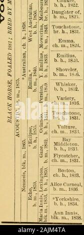Il cavallo purosangue : la sua origine, come razza e come [a] selezionare lui : con gli allevatori di cavalli' guide : abbracciando un centinaio di tabulati delle genealogie dei principali riproduttori ... . Se 17i4)-Manilla 1777 da Goldfliider 1764 (Snap 1750i. Am. Eclipse 1H14 (Duroc 18(t6i-y. Cameriera di-tbe-Oaks 1817 da Expedition 1795 (PegasusI 1781) .Maid-ol-tbe-Oaks 1801 da "SPREAD EAGLE 1792 volontari (1780)-Annette da*Sliark 1771 (Marske 1750)-Dau. di Rockingham (Partner 1755). I cuochi frusta,I b. h., 1804. I cuochi frusta 1804 (*frusta 1794)-Jane Hunt 1796 da Hamptons Paragon 1788 (Film,PAN 1765)-Moll da "Fignrc 1757 (figura Foto Stock