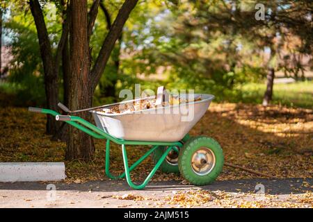 Una carriola in metallo per un giardiniere chi raccoglie caduto foglie gialle in esso in un parco. Foto Stock