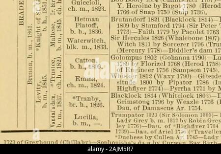 Il cavallo purosangue : la sua origine, come razza e come [a] selezionare lui : con gli allevatori di cavalli' guide : abbracciando un centinaio di tabulati delle genealogie dei principali riproduttori ... . Andrews 1797)-Web 1808 con paraffinico 1790 iPot-S-o-s 1773i-PenelopeI 1798 da Tnimpator 1782 (conduttore 1767i-Prunella 1788 da Highflyer 1774 (Erode 17.)8)-Promi-e 1768 da Snap 1750 (Snip 1736 Golumpus 18.2 (Gohanna Ii90)-Lucy grigio 1814 da Timothy 1794 (Delpini 1781)-Lucia 1789 da Florizel 1768 (17581 Erode-Frenzy 1774 da Eclipse 1764 (Marske 1750)-Dau. dell'Ingegnere 17.^6 (SAMPSON 1745).Camillo 1803 iHambletonian 1793)-Dan. Foto Stock