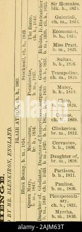 Il cavallo purosangue : la sua origine, come razza e come [a] selezionare lui : con gli allevatori di cavalli' guide : abbracciando un centinaio di tabulati delle genealogie dei principali riproduttori ... . Lver 17741-Abigail 1788 da un picchio 1773 (Erode KaSi-Firetail 177.Ho da EcUpse 1761 iMarske 17.50). Walton 1799 (Sir Peter 17mi-sol Para.lt-00 dalla pentola-8-os 1773 (Eclipse 1764)-Prnnella 1788 da Highflyer 1774 (Erode 1758)-promessa 1768 da Snap 1750 (Snip 1736)-Jnlia 1756 da vuoto 1740 (Dio. Ar. 1724).Mo.ses 1819 ([Whalebone o] Seymour 1807)-Quadrille 1815 di Selim 1S02 (Poiana* 1787)-Canary Bird 180a da [Whiskey o] Foto Stock