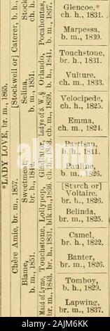 Il cavallo purosangue : la sua origine, come razza e come [a] selezionare lui : con gli allevatori di cavalli' guide : abbracciando un centinaio di tabulati delle genealogie dei principali riproduttori ... . Asta ir5^)-Dau. 1777 del Cardinale Puff 1760 (Babiaham 1740). Ir RiriVAtcher ^ Hercules 1836 (Whalebone ]807&GT;-Guiccioli 1823 bv bottino Boh 1804 (Chanticleerrh 1, i)i" ! 17871-volo 1809 da Ir. Fuga 1802 (Commodore 1793)-y. Eroina bv Bagot 1780en. n., lOis. Ho ijierod 1758i-eroina 1775 da eroe 1733 (Cadei 1734).Prhidna economista 1835 Baffo (1812)-MI9S Pratt 1825 bv Blacklock 1814 (Whitelock 1803)-h m è" liadabout Foto Stock